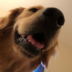 Meet your Posher, Patrick